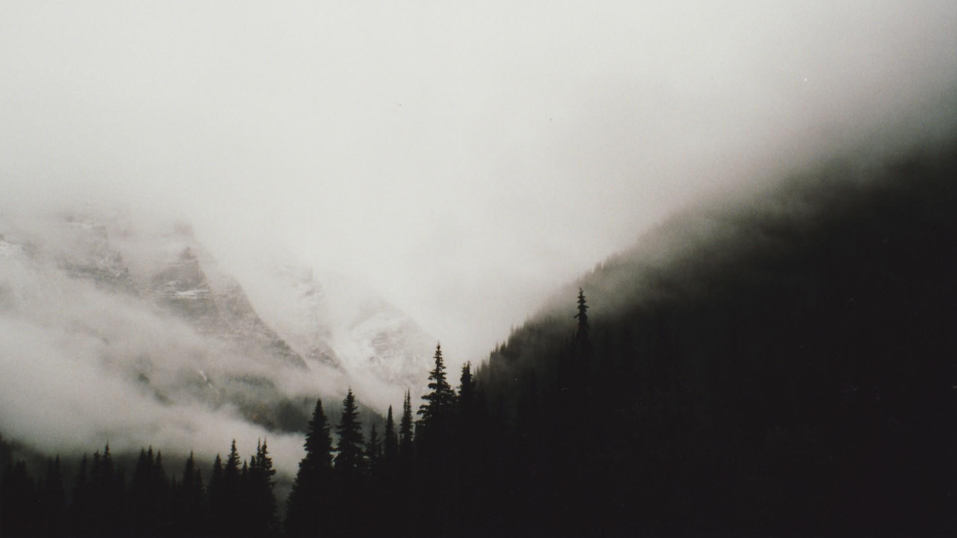 foggy mountain background