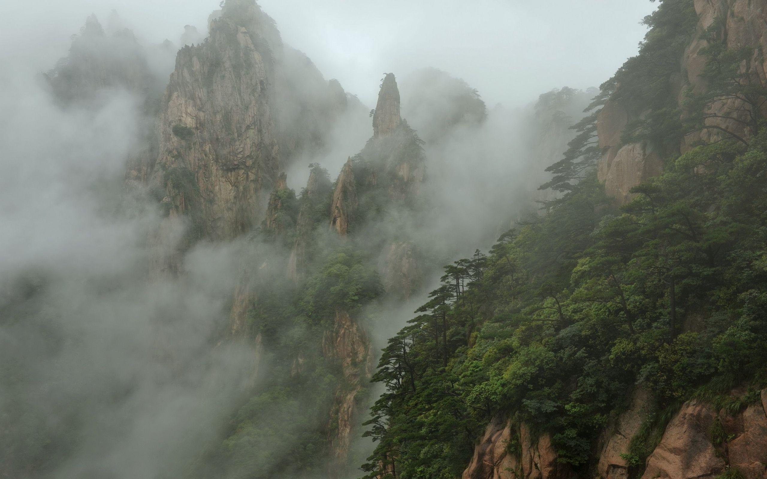 Misty Scenery. Mountain wallpaper, Foggy