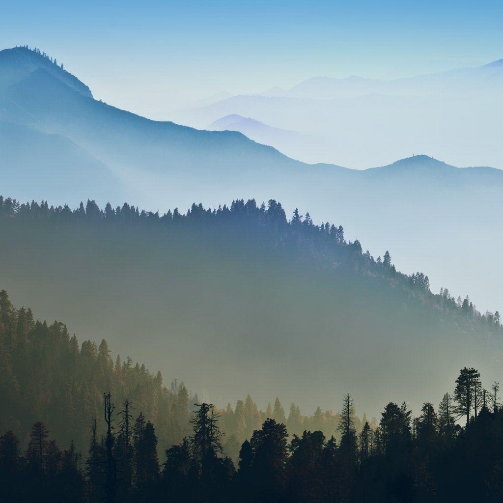 Foggy Mountains Forest Landscape #iPad #wallpaper