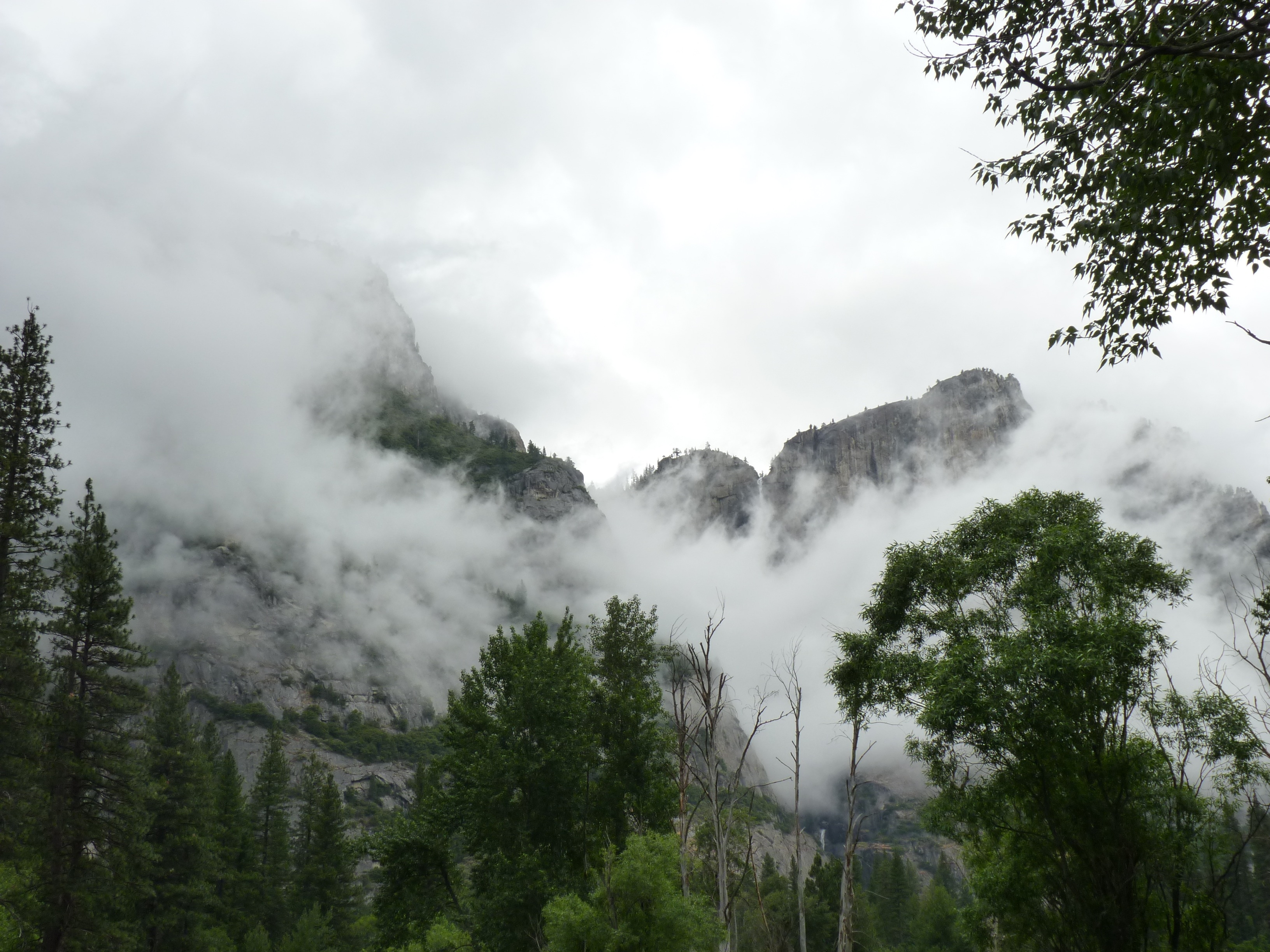 foggy mountain free image