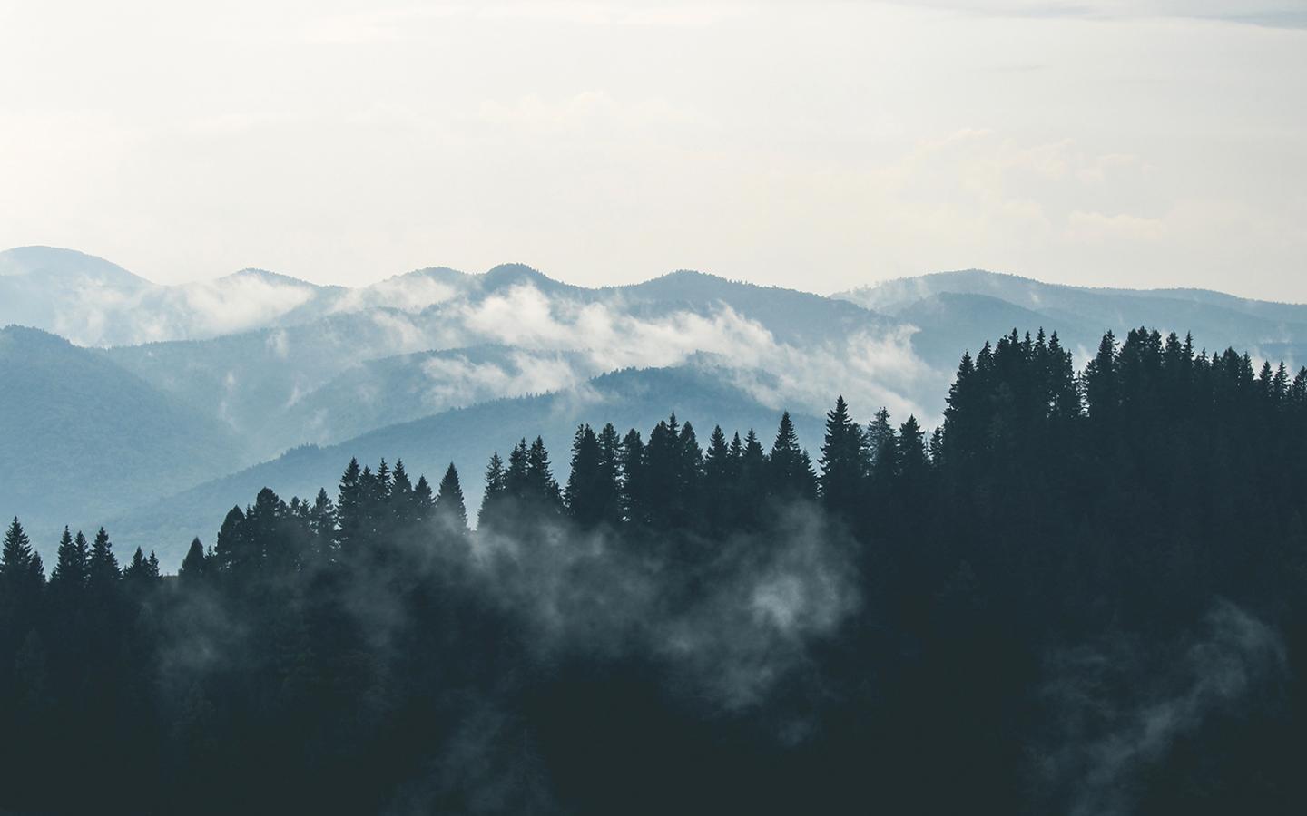 WallpaperMISC Foggy Mountains HD Wallpaper 15 X
