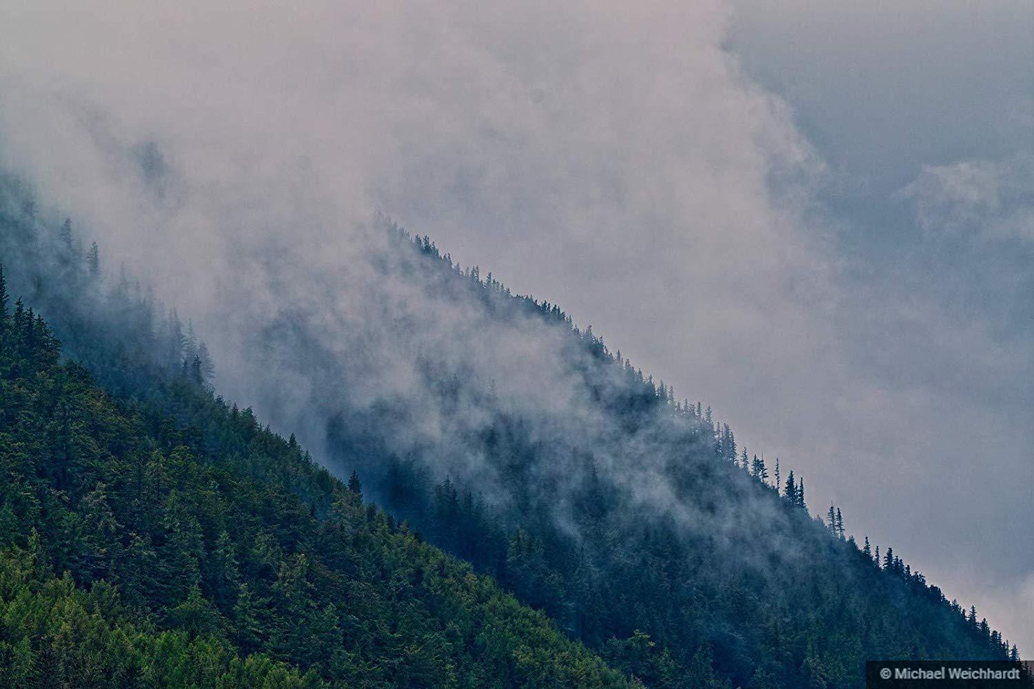 Foggy Mountain, Cloudy Alps, China, Pine Forest