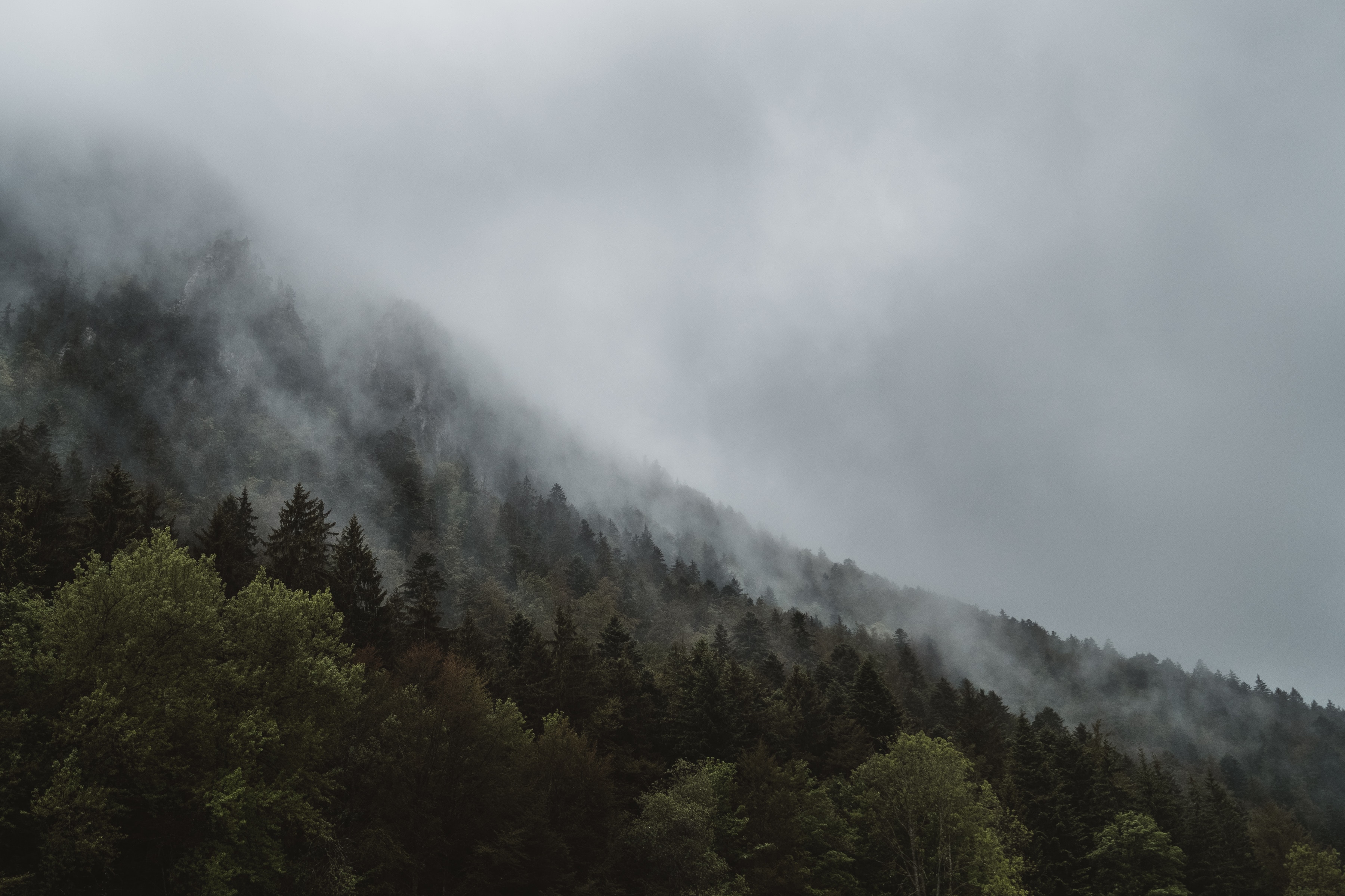 foggy mountain terrain free image