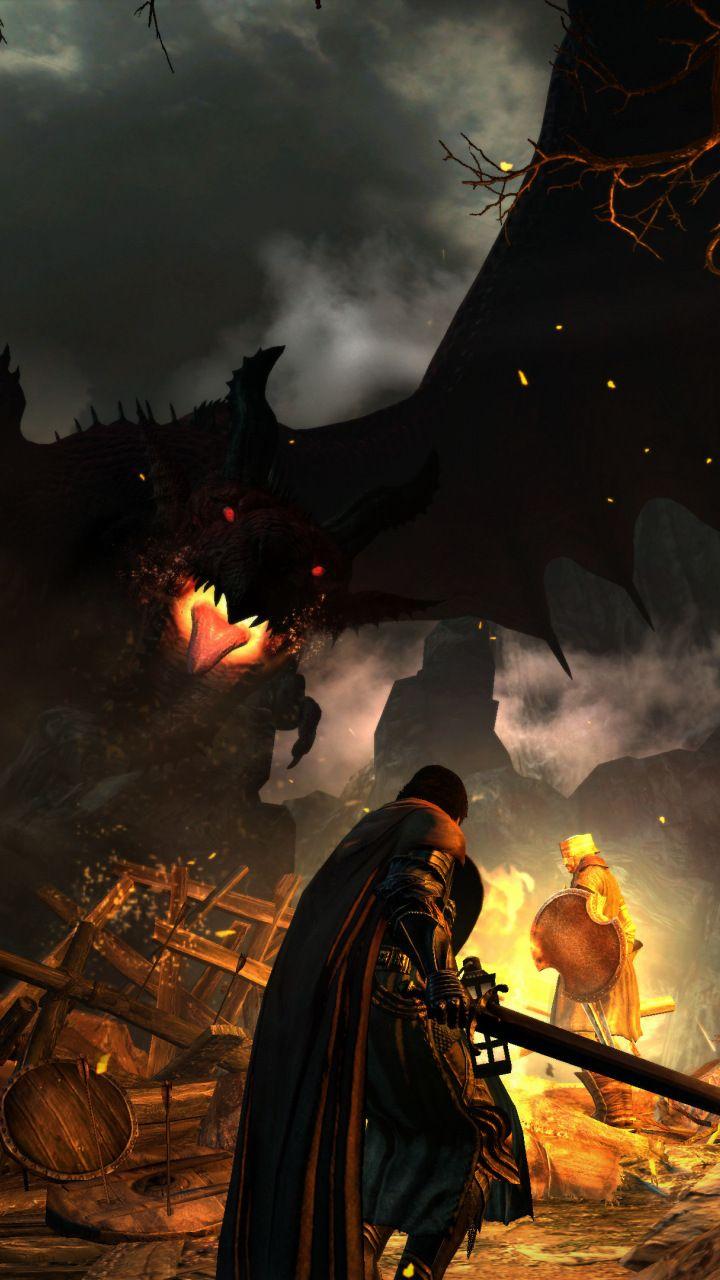 Dragon's Dogma: Dark Arisen, game, warrior, 720x1280 wallpaper