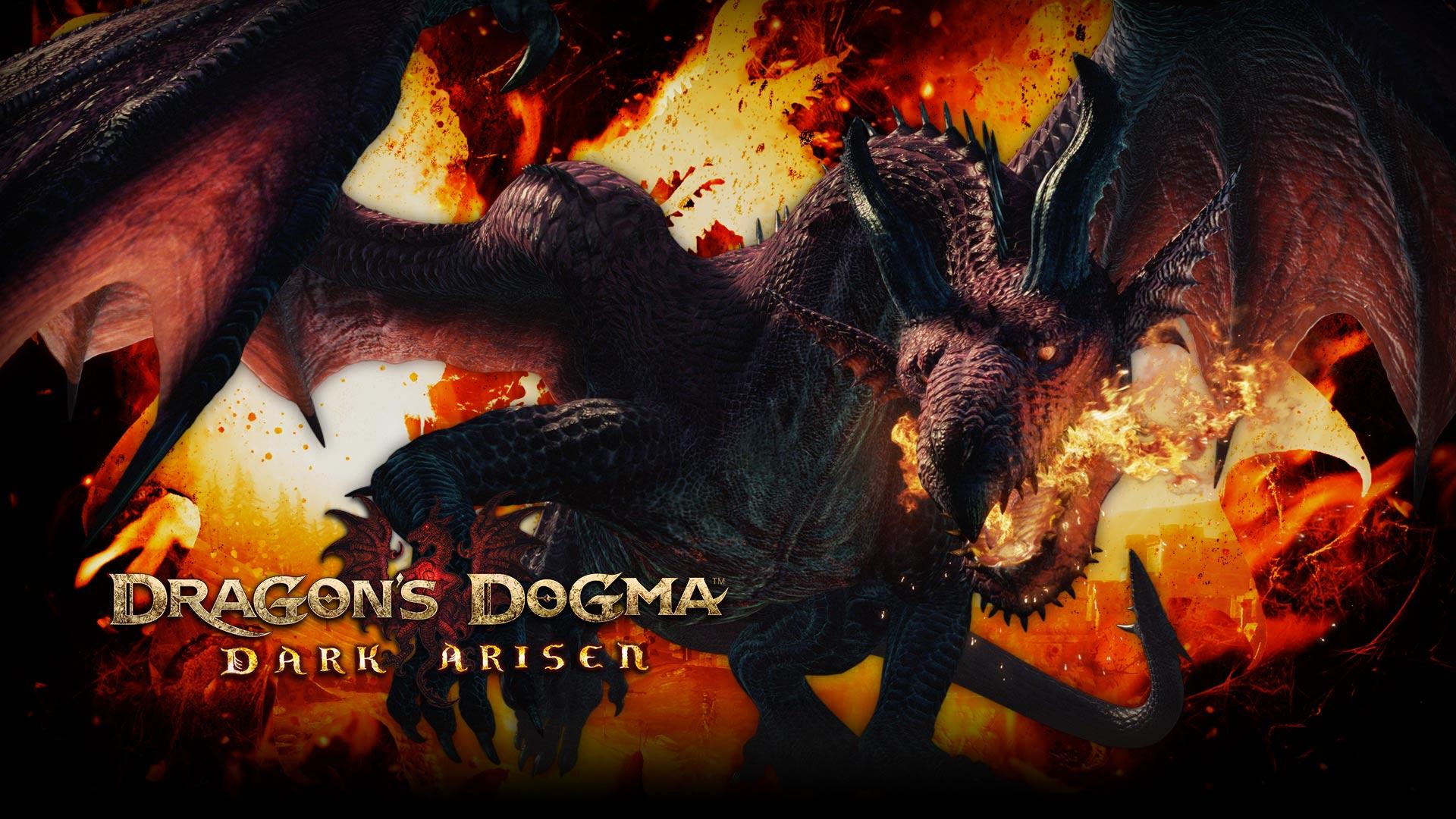 Dragon. Wallpaper from Dragon's Dogma: Dark Arisen