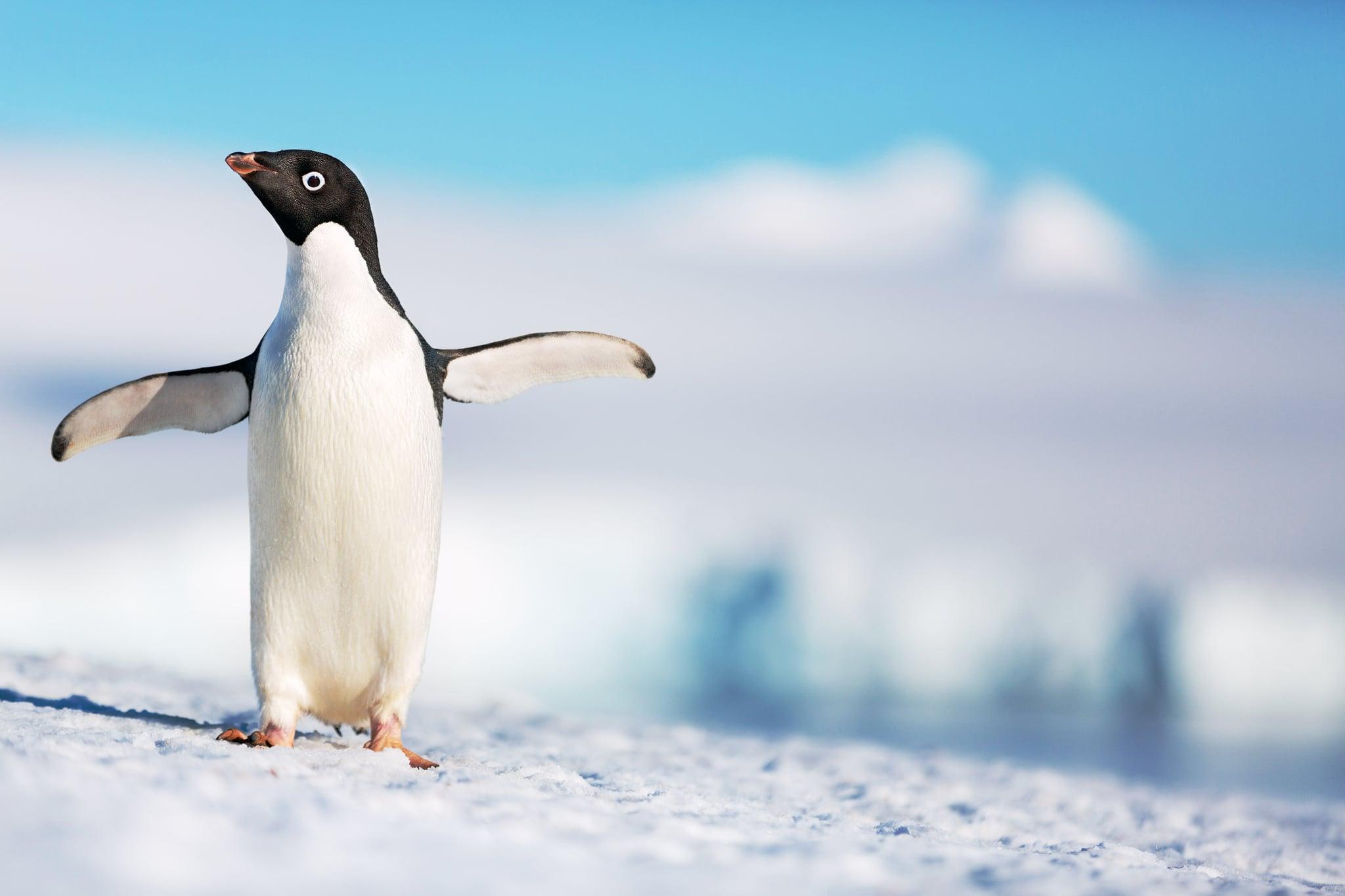 My Way Matinee Sensory Friendly Movies At Regal Cinemas. POPSUGAR