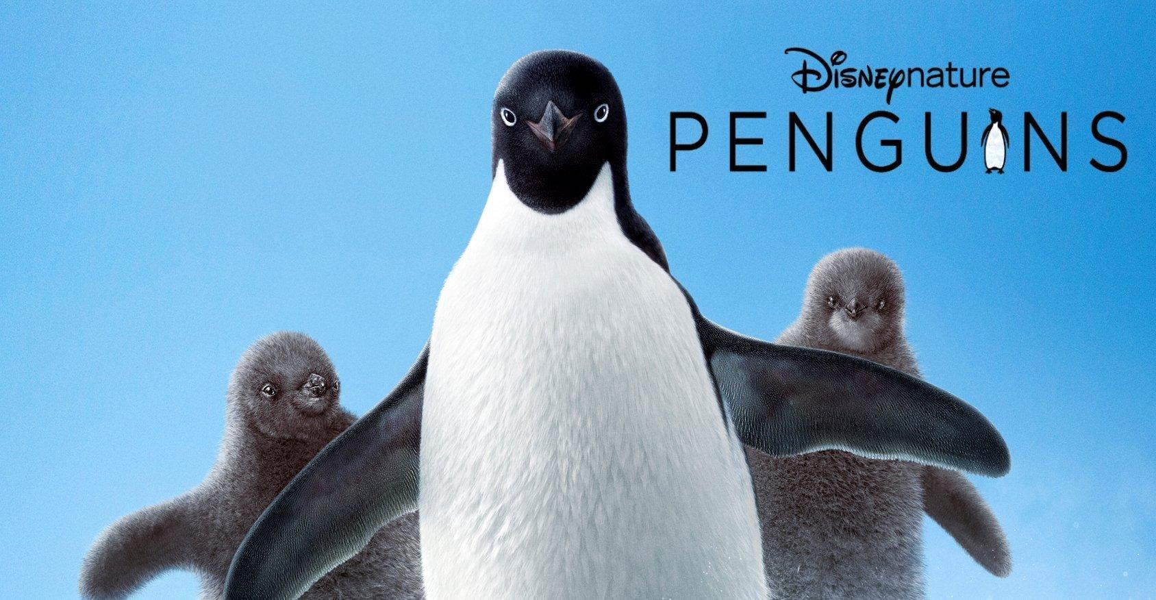 The Lamplight Review: Movie Reviews, Blu Ray Reviews And TV Reviews