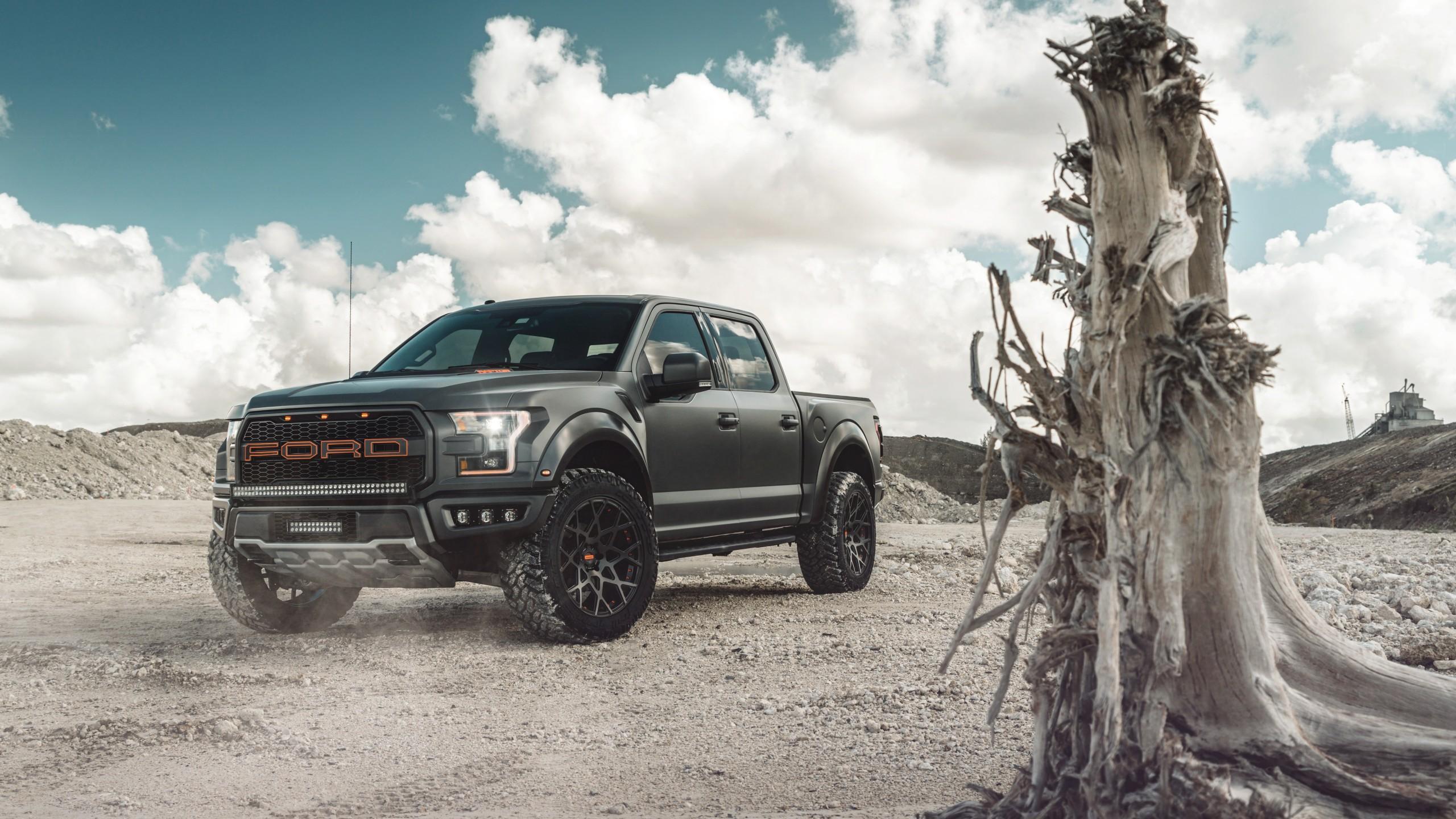 Wallpaper Ford F 150 Raptor, 4K, 8K, Automotive / Cars