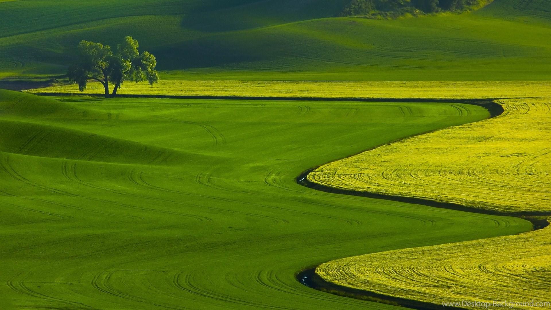 Nature Full HD 1080p Wallpaper 1920x1080 Wallpaper UC FORUM