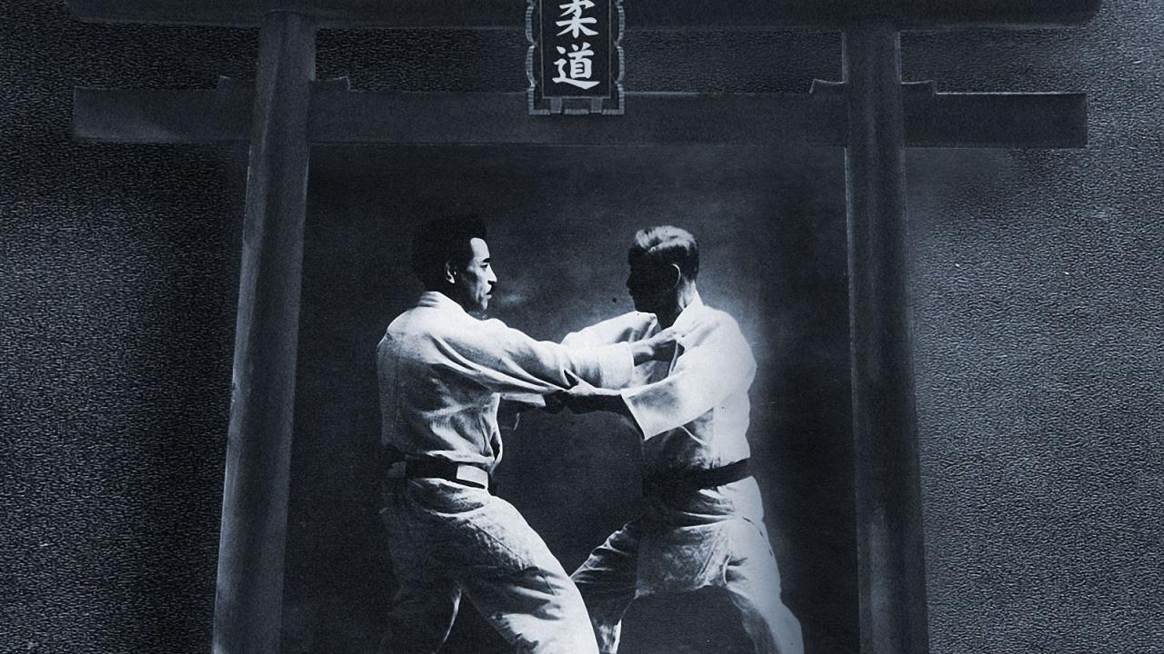 Judo Wallpaper 13 X 1200