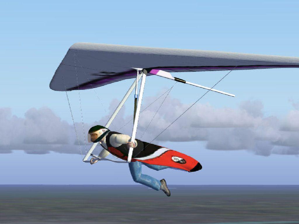 Airborne C4 Hang Glider
