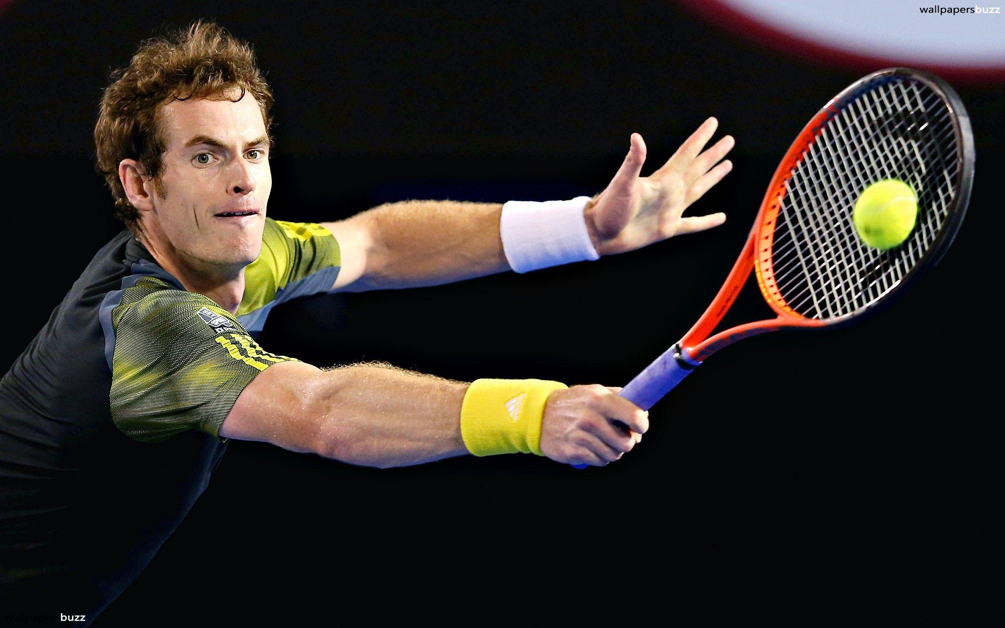 Handsome Andy Murray HD Wallpaper