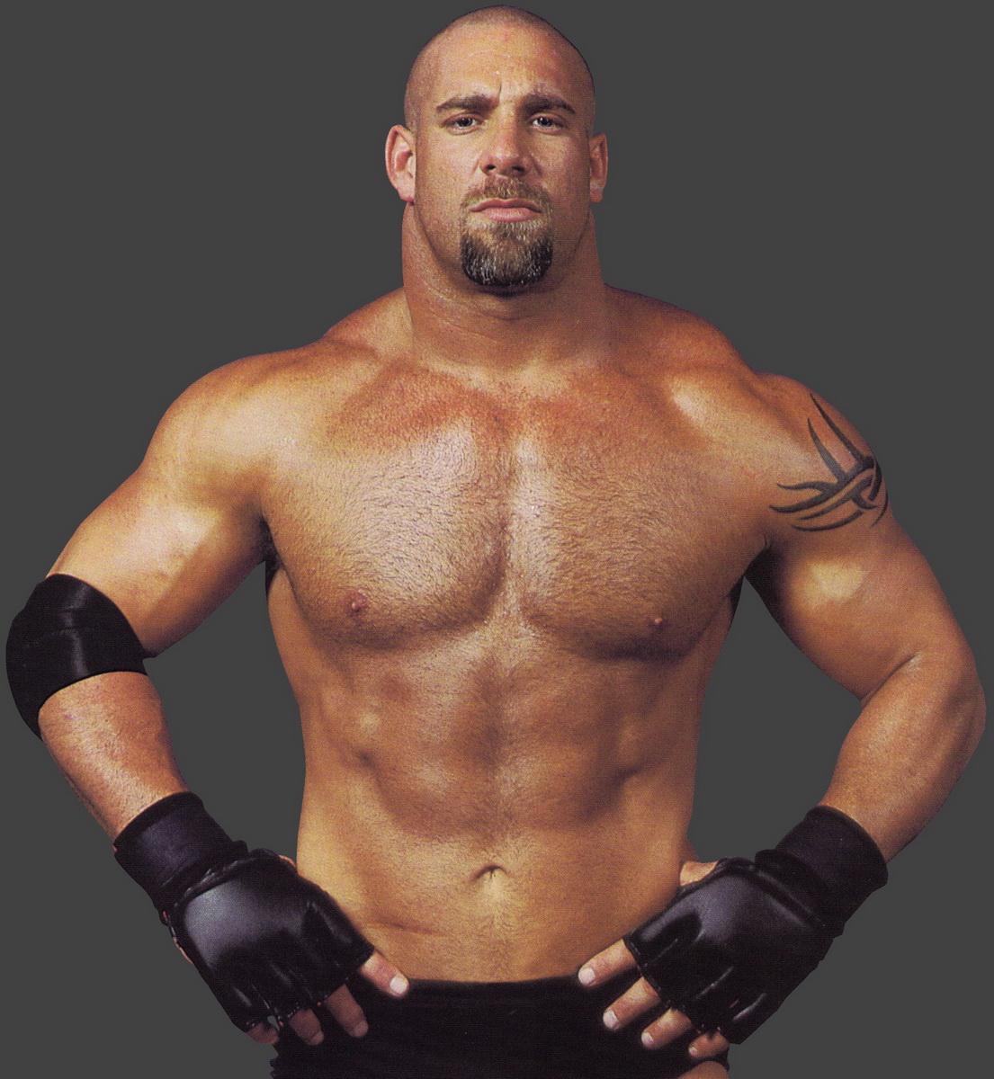 Pictures of Bill Goldberg.