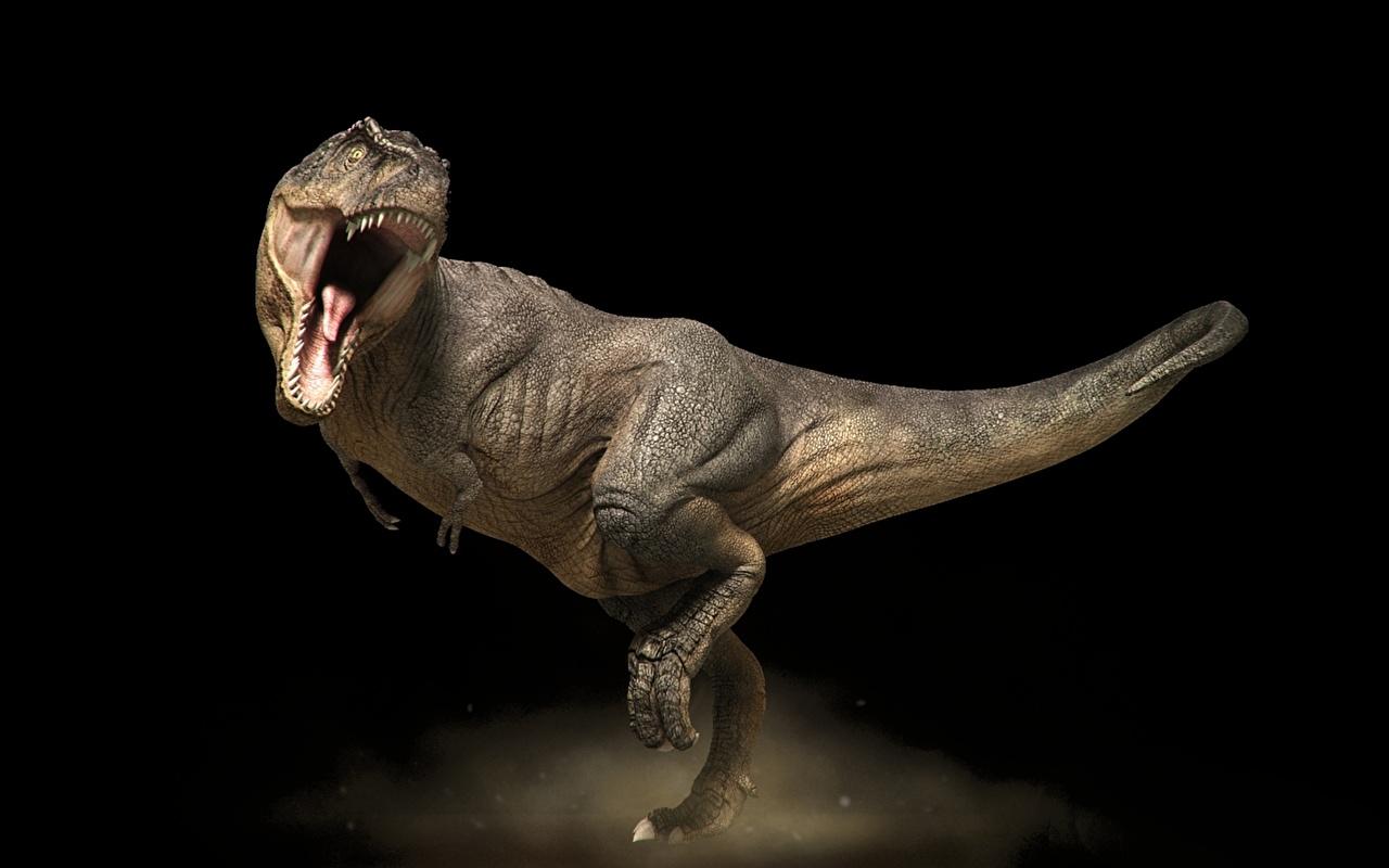Wallpaper Tyrannosaurus rex Dinosaurs Animals Ancient animals