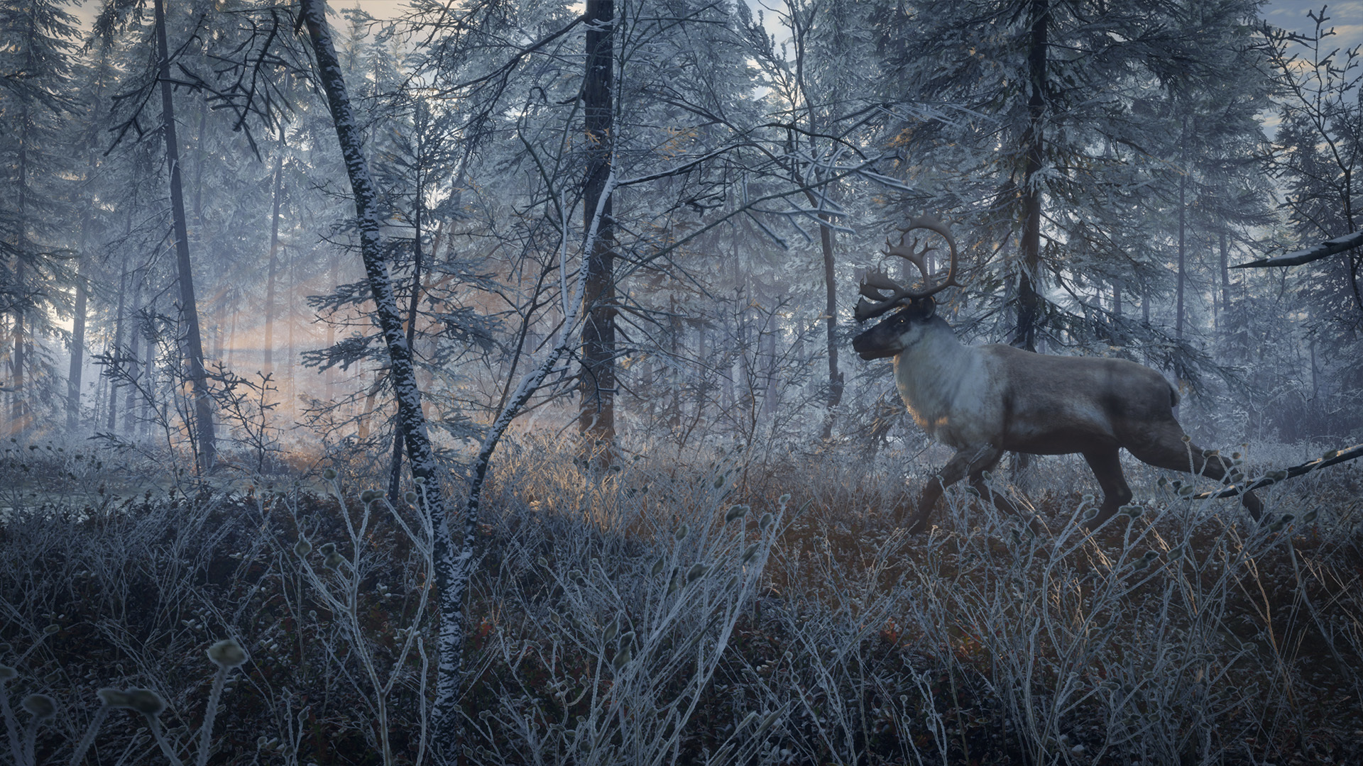 theHunter™: Call of the Wild :: Species List