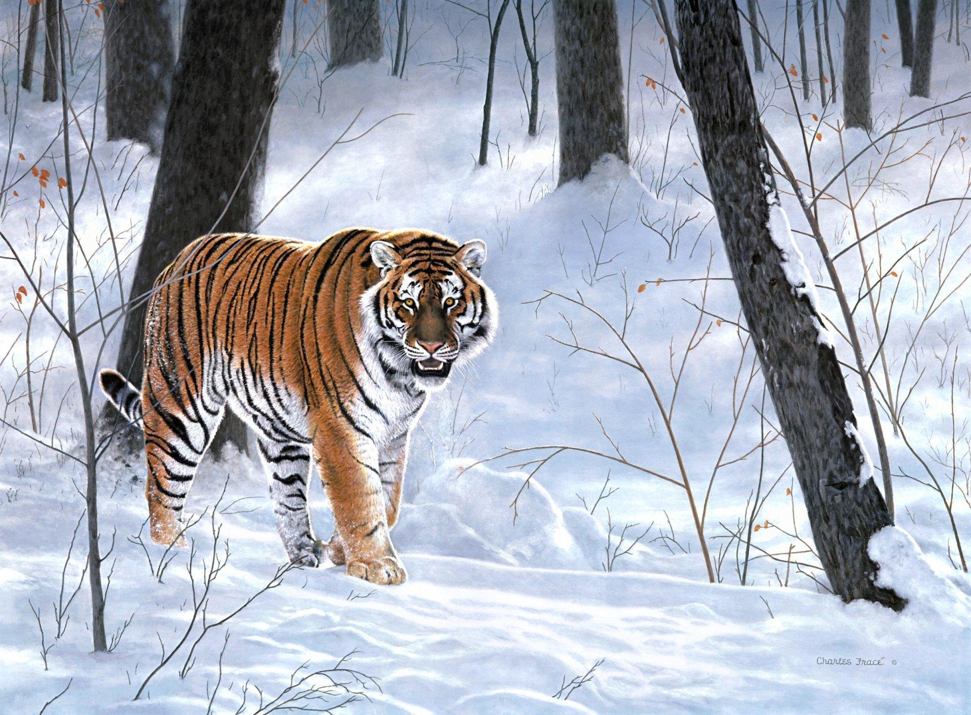 charles frace emperor of siberia painting forest winter taiga tiger