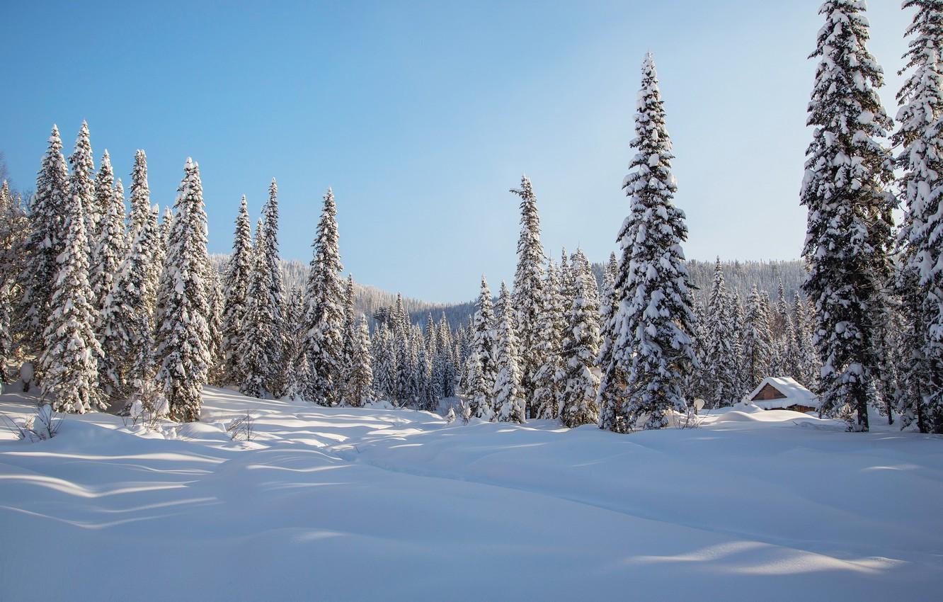 Wallpapers winter, forest, snow, trees, hut, ate, the snow, Russia