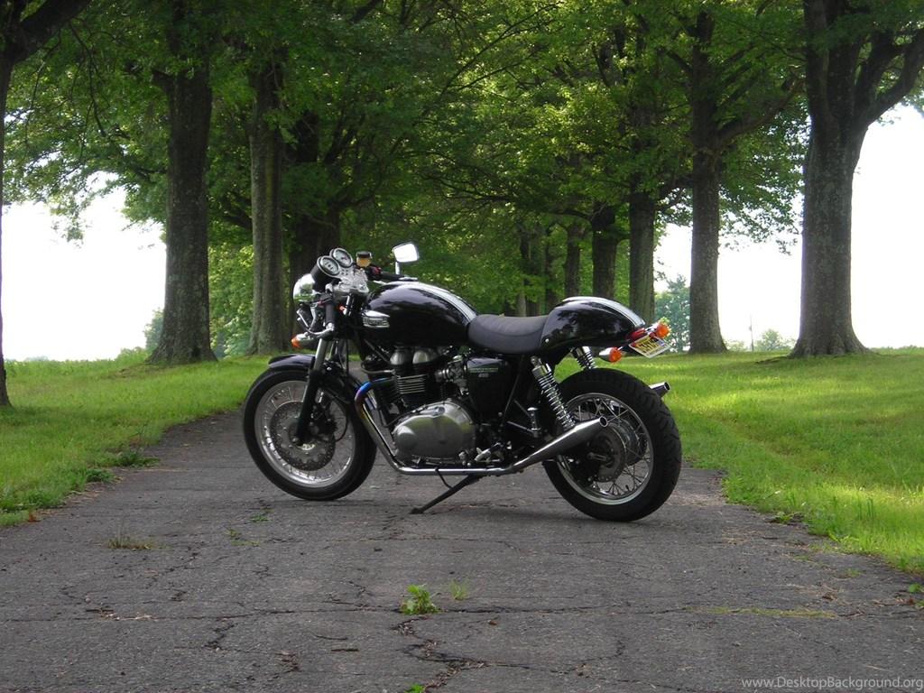 Triumph Thruxton Cafe Racer Wallpaper