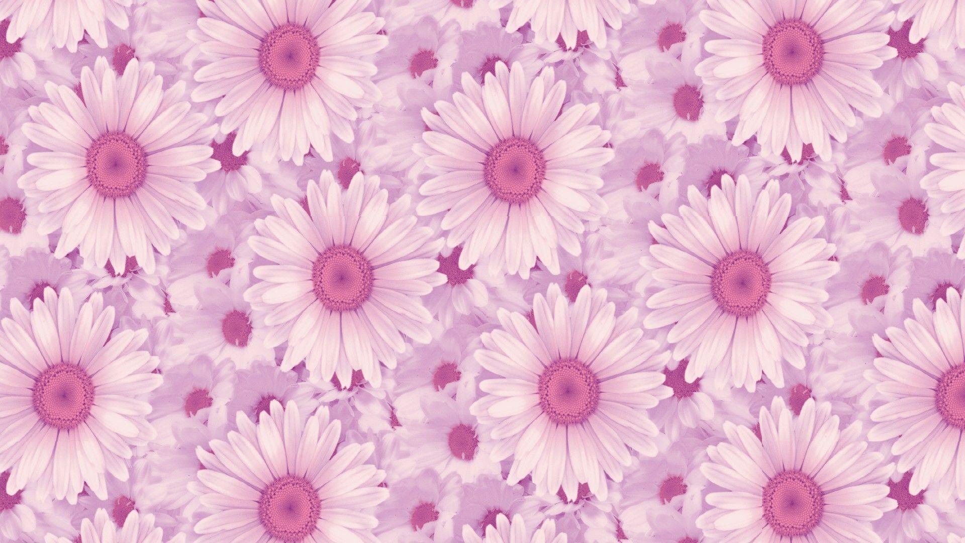 Laptop Aesthetic Wallpapers Wallpaper Cave Laptop Aesthetic Wallpapers Wallpaper Cave