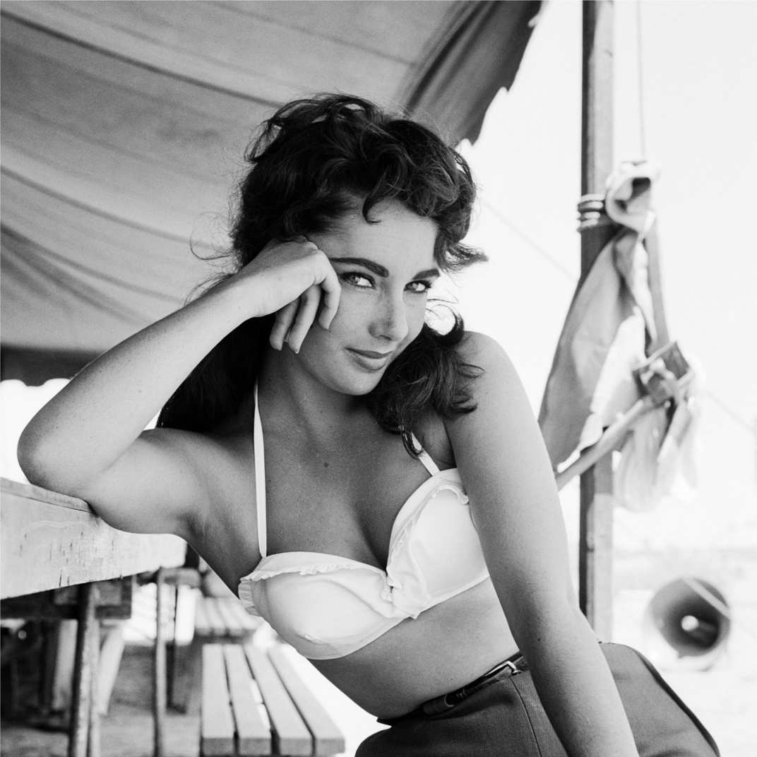 The Elizabeth Taylor Look Book