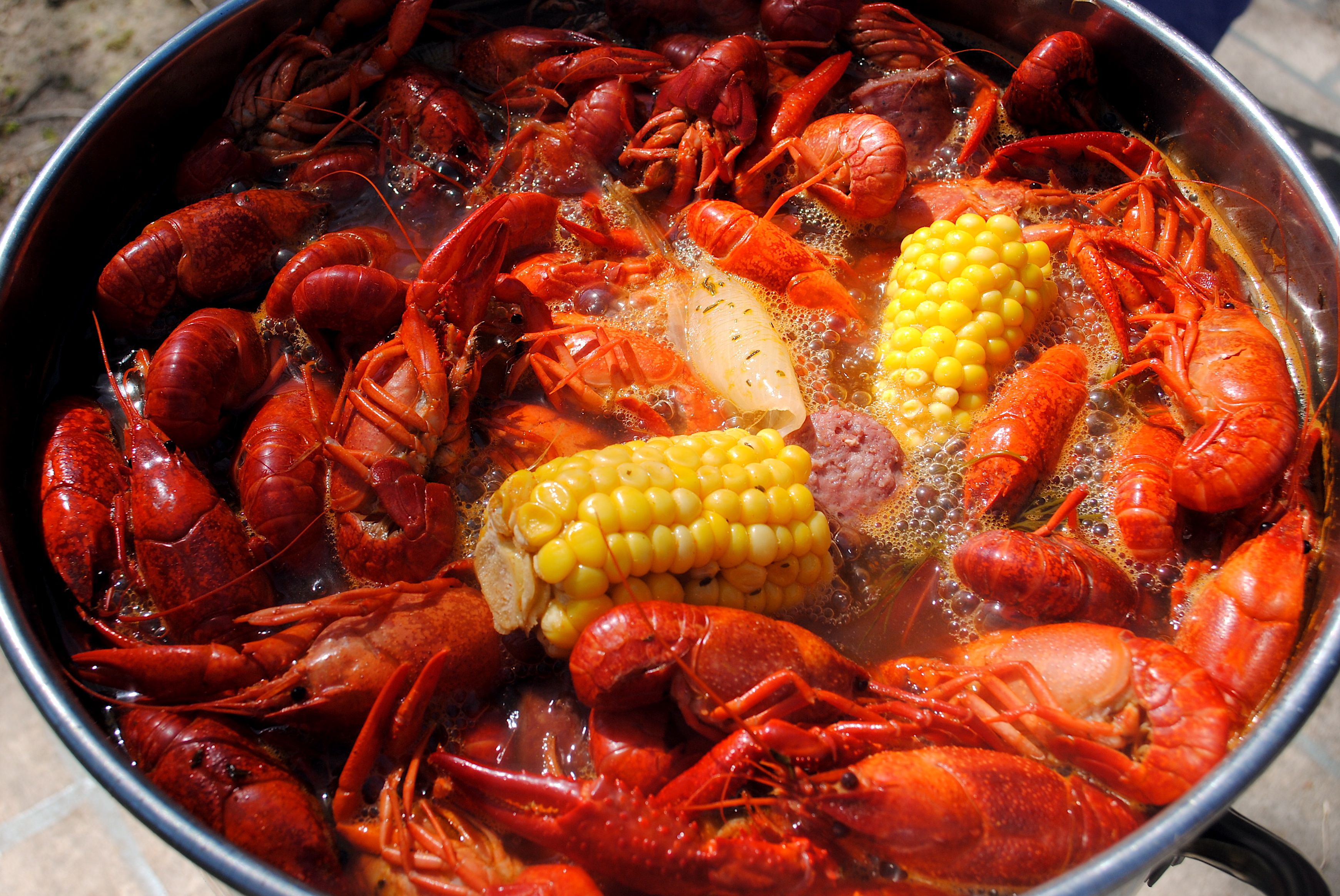 You can download latest photo gallery of Crawfish Boil