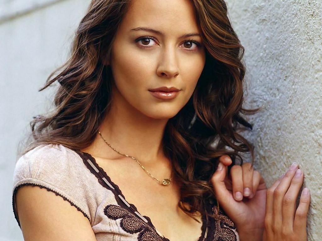 Amy Acker Person Of Interest HD Wallpaper, Background Image