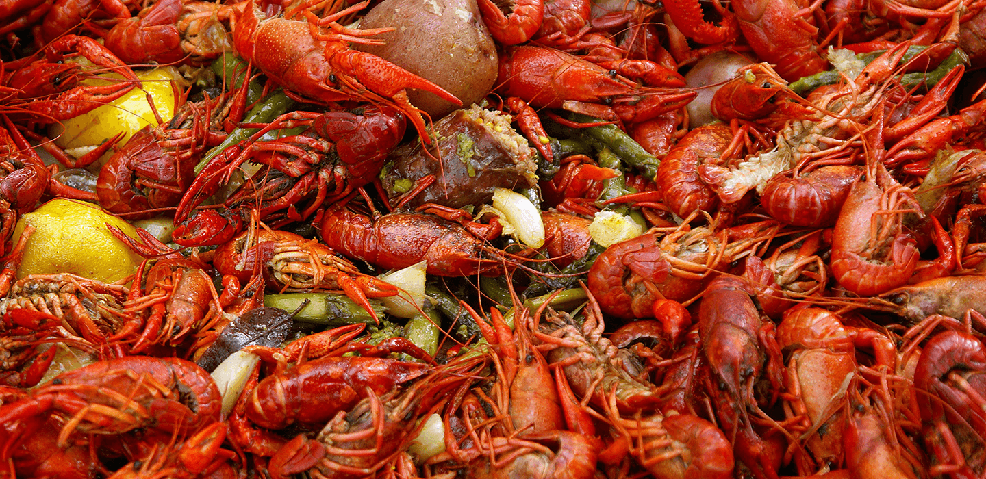Crawfish Wallpapers - Wallpaper Cave