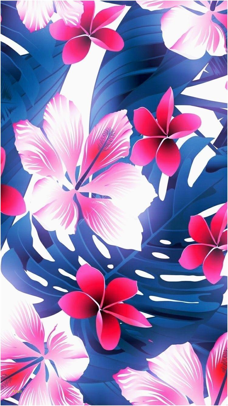 Cute Flower Wallpaper Best Of Aukera Gray On Aesthetic