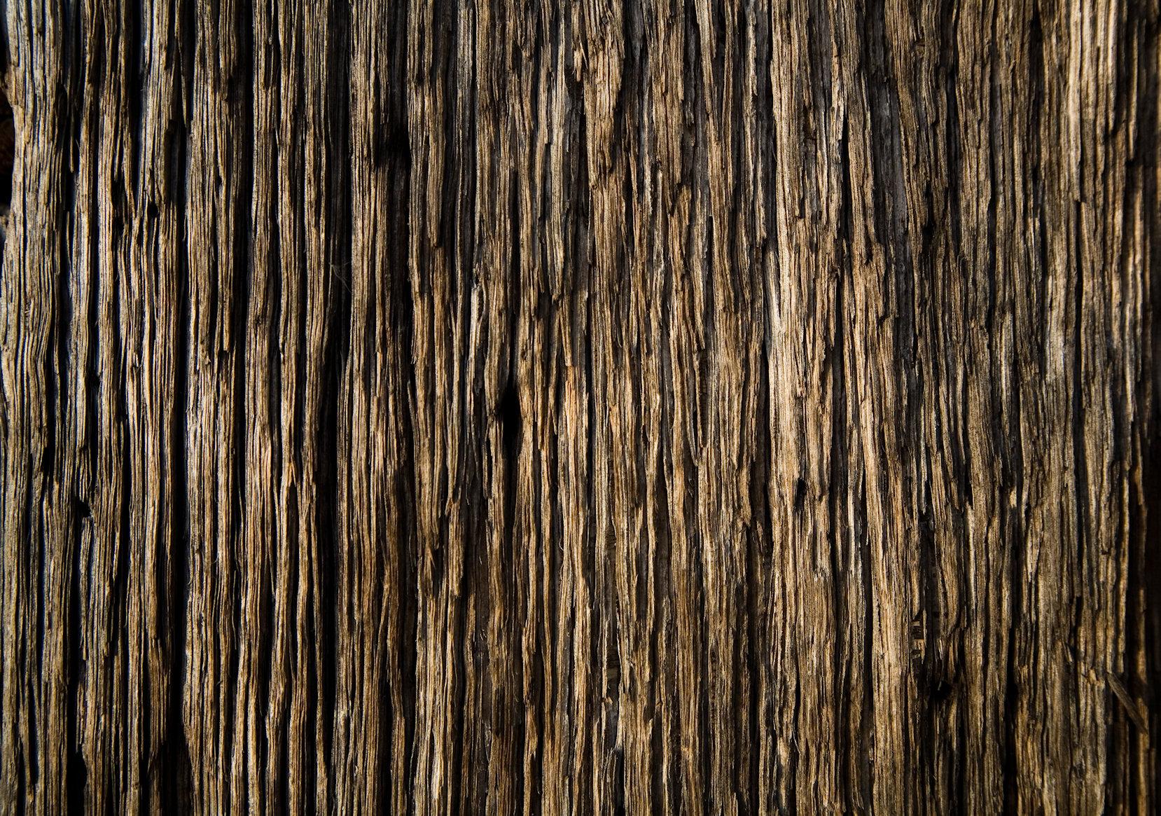 TechCredo. Wood Texture Wallpaper Collection for Android