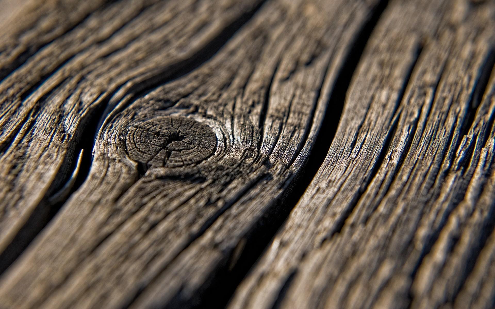Knot nature textures wood texture wallpaper