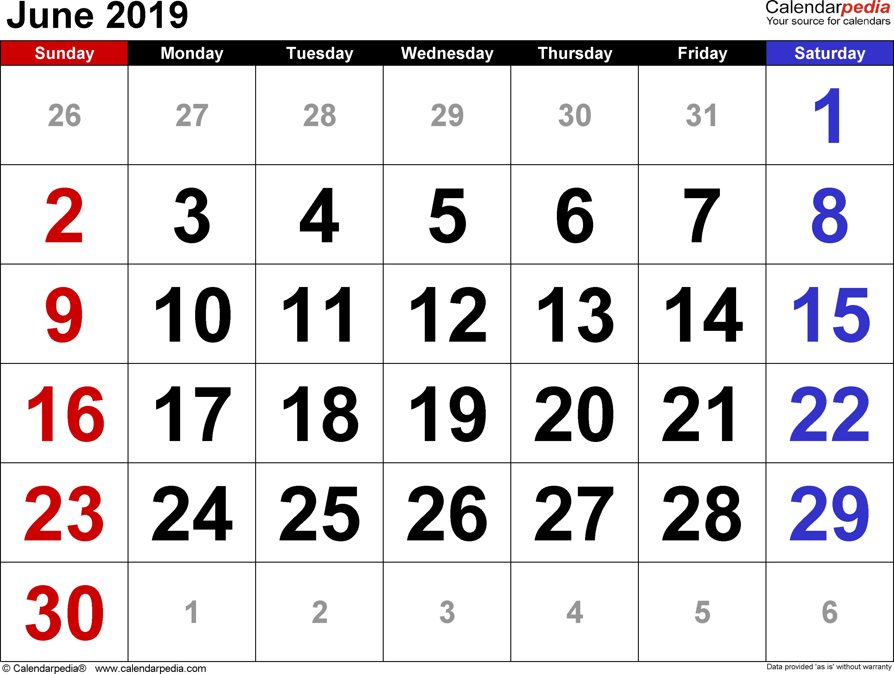 Decorative June 2019 Calendar PDF Page Excel Word Floral Wallpaper