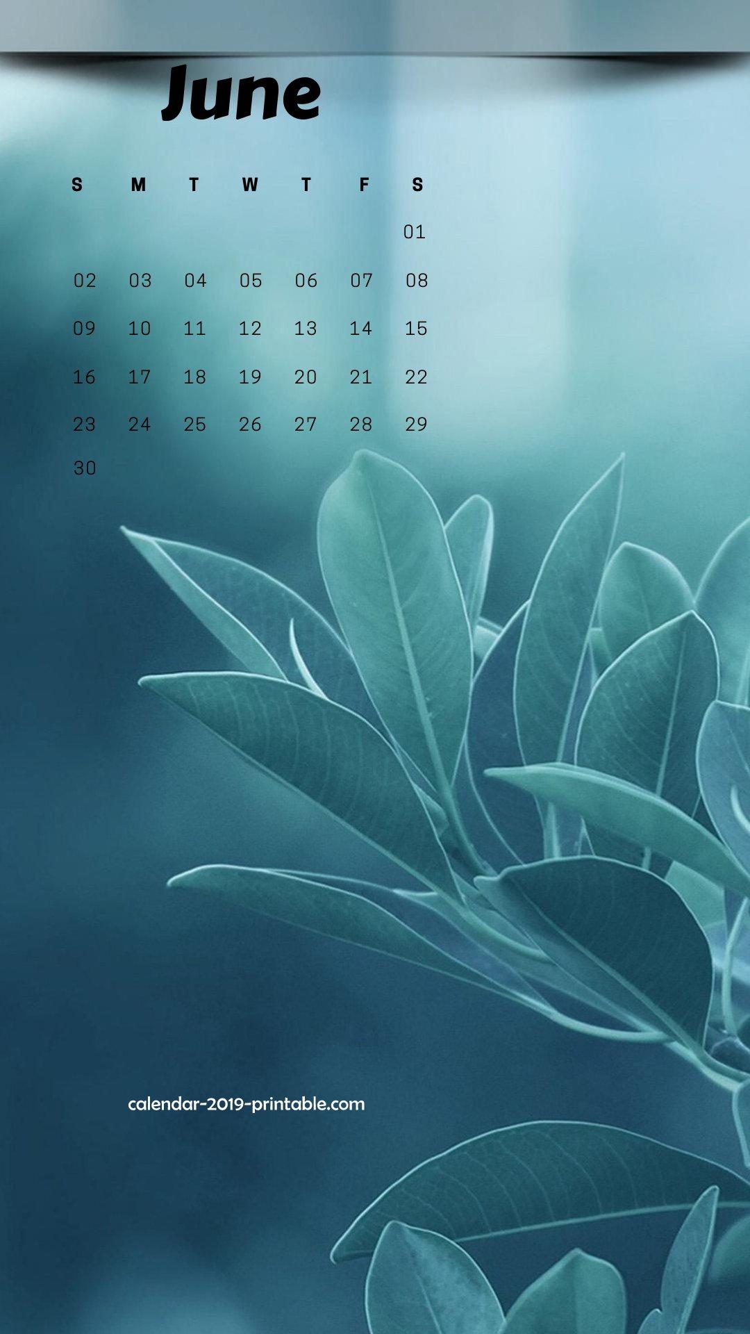 June 2019 iPhone Calendar Wallpaper. Calendar 2019 Printable