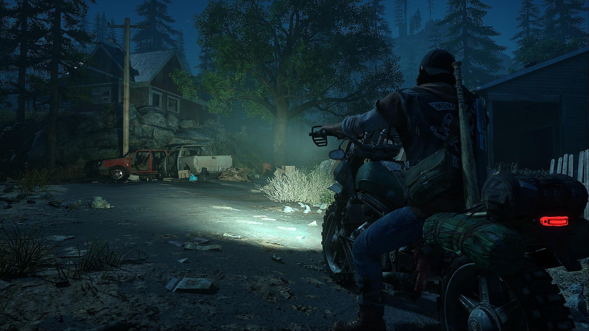 Days Gone Game. Open World Action Game