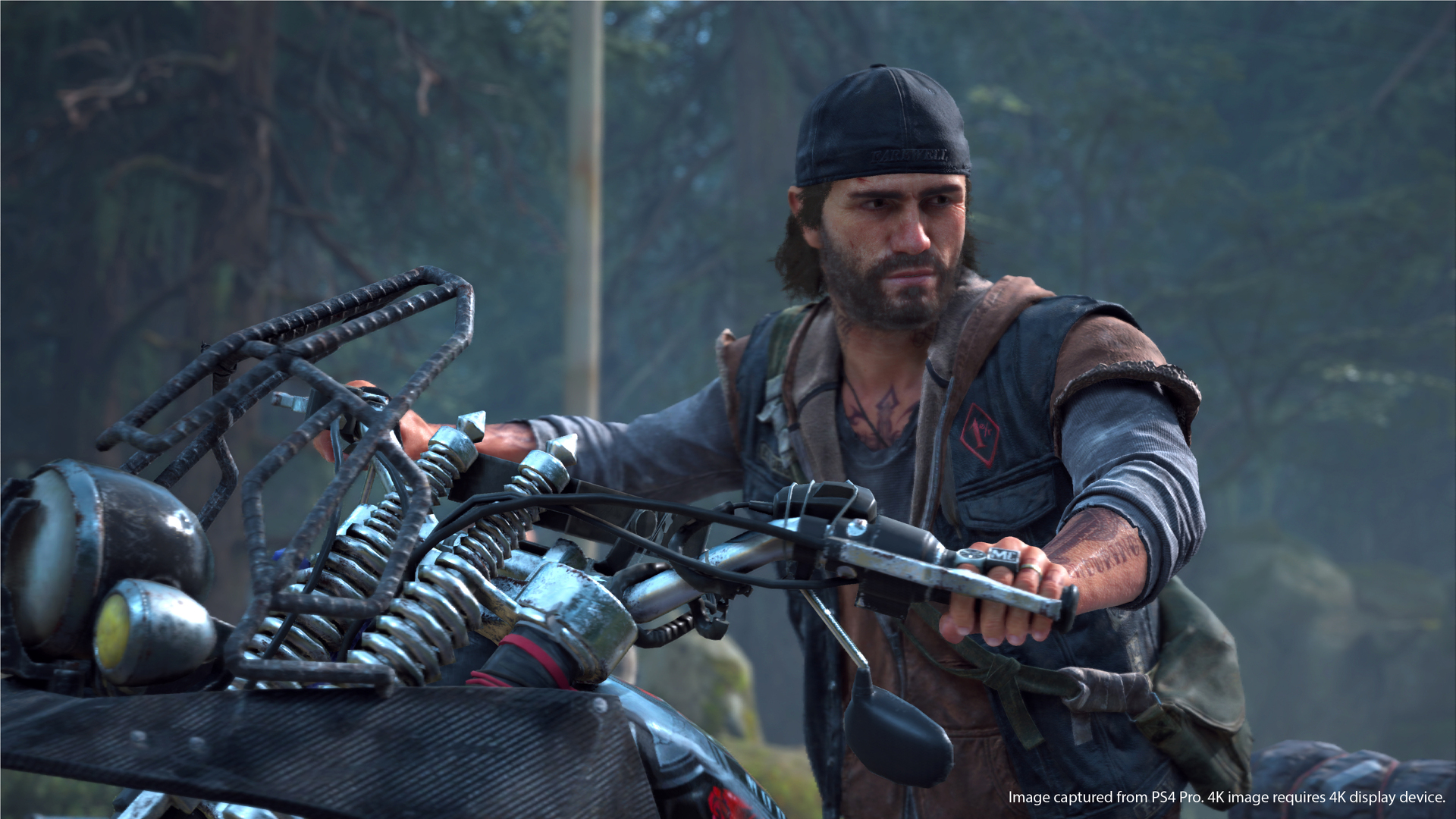 Days Gone Delayed Two Months To April 2019