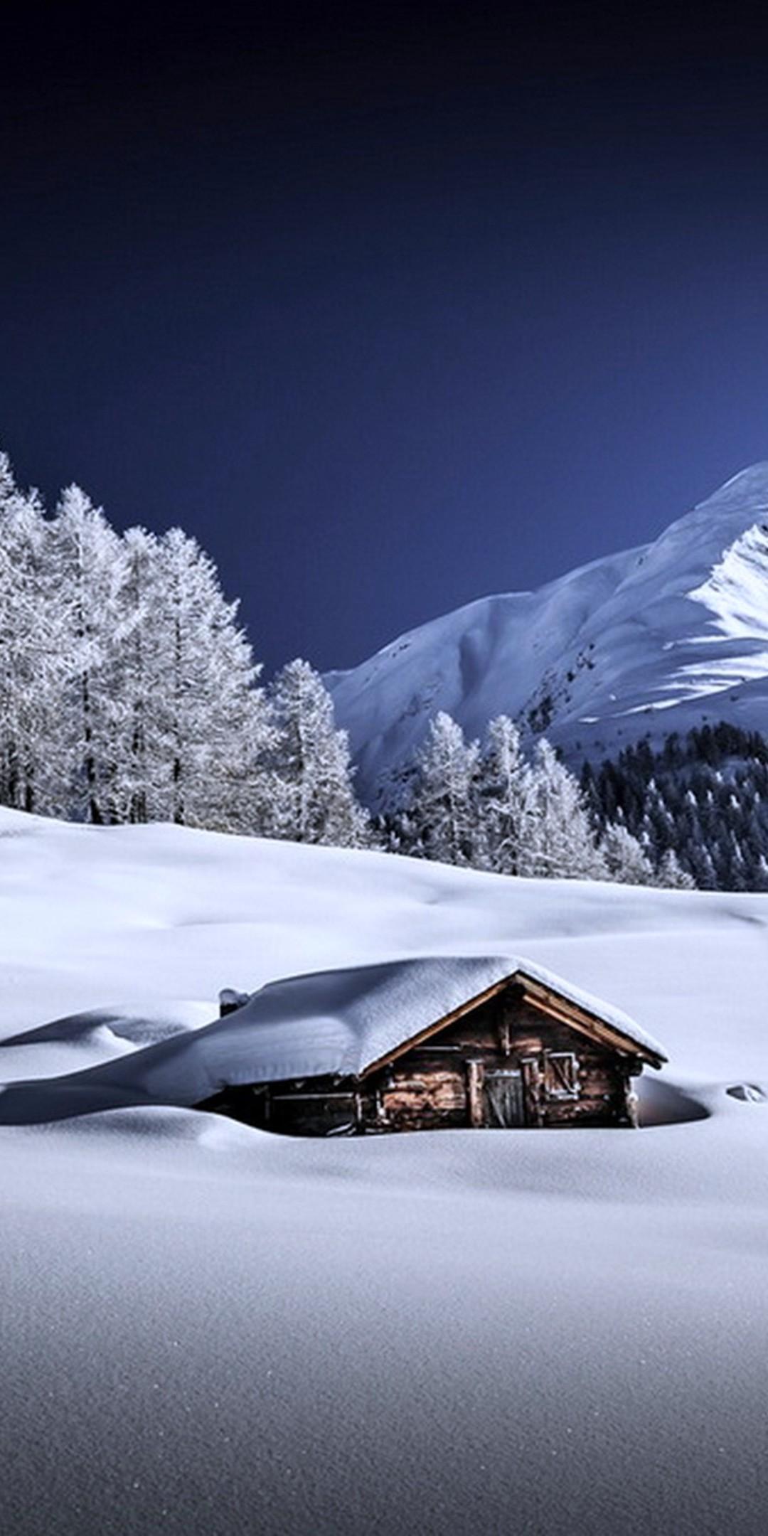 Frozen Winter Wallpaper [1080x2160]