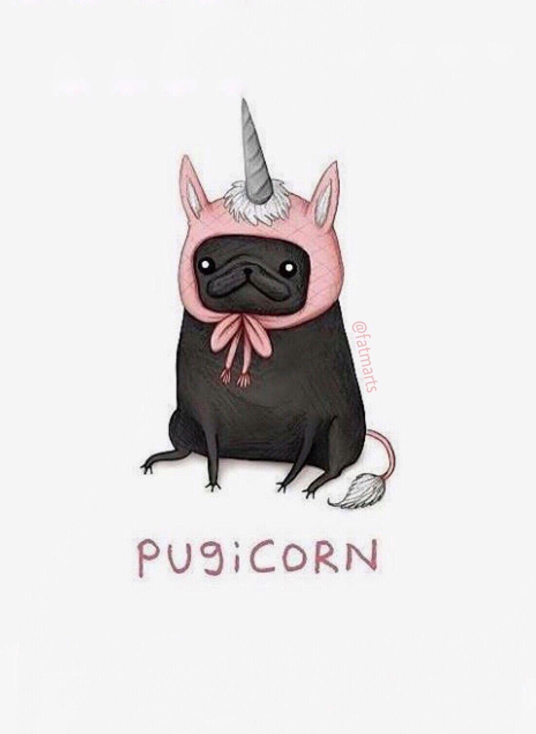 pugicorn teddy