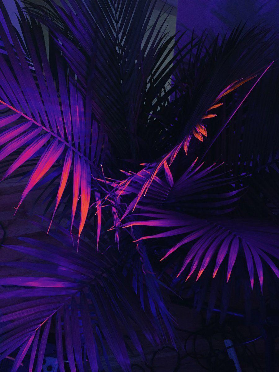 Archillect on. Neon. Purple aesthetic, Tumblr wallpaper, Aesthetic