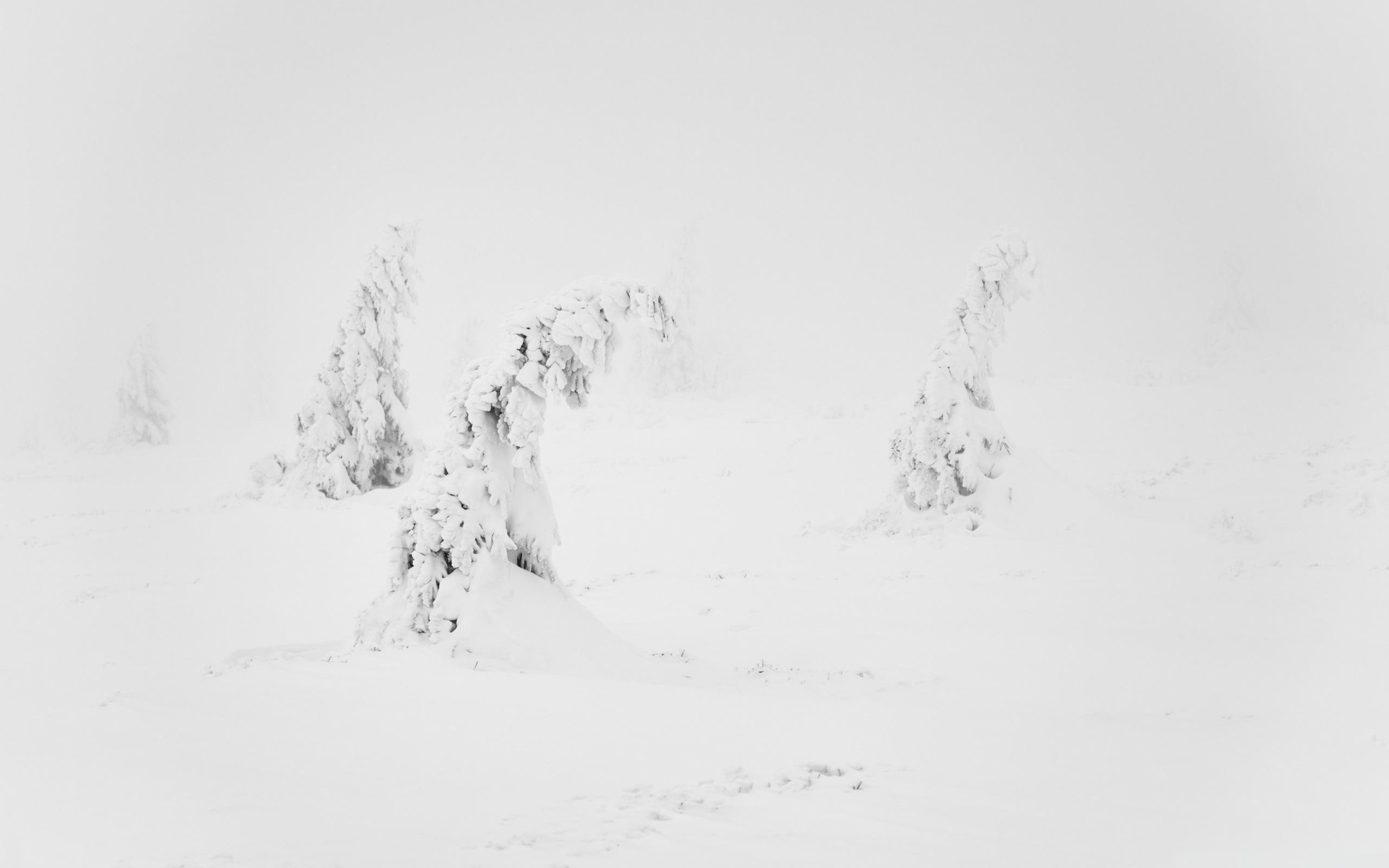 Winter White Snow Aesthetic ❤ 4K HD Desktop Wallpaper for 4K Ultra