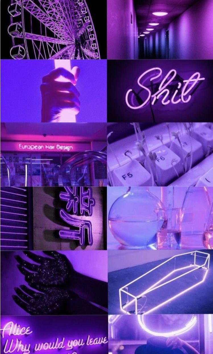 CMM142. Purple aesthetic