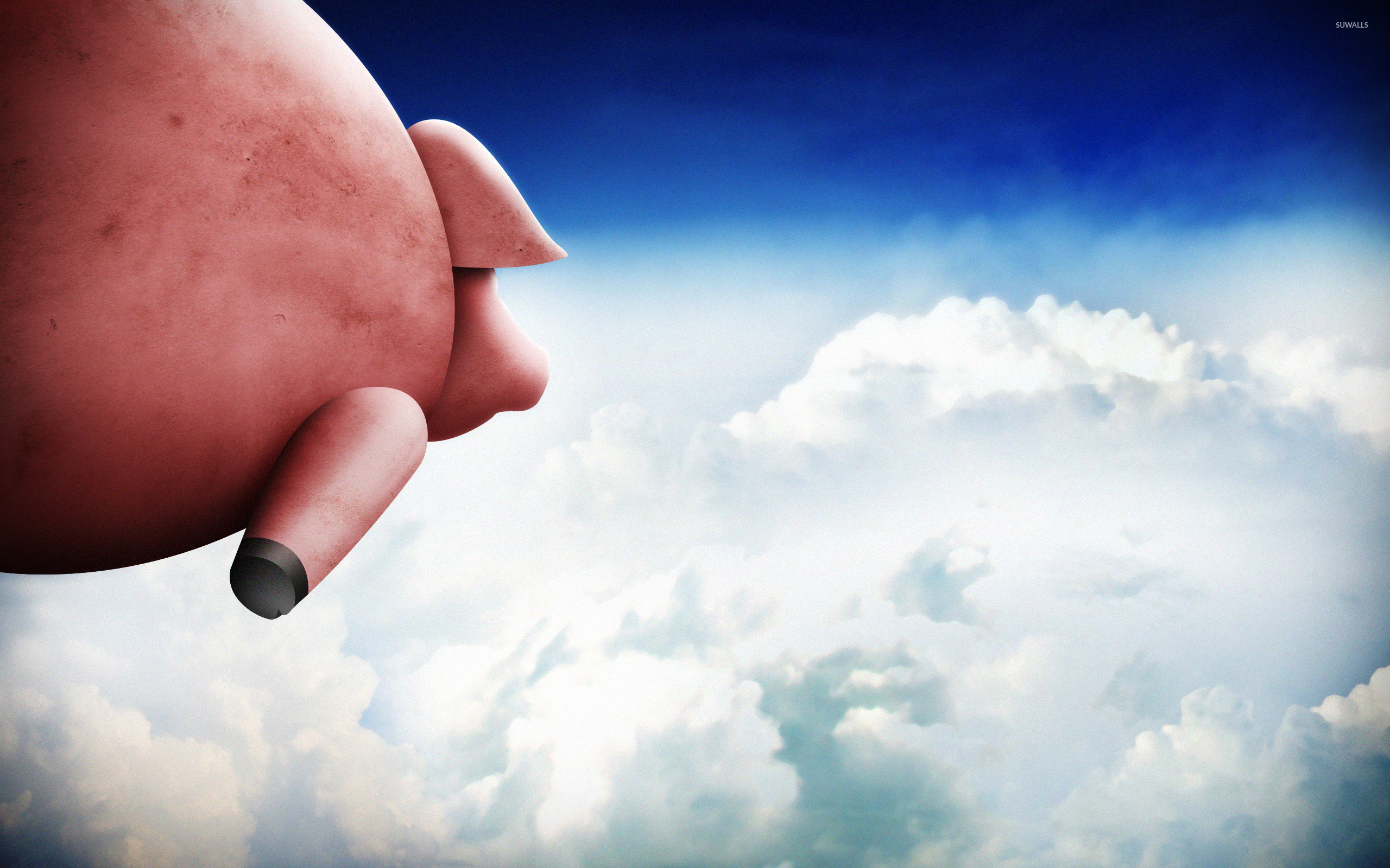 Flying pig wallpaper wallpaper