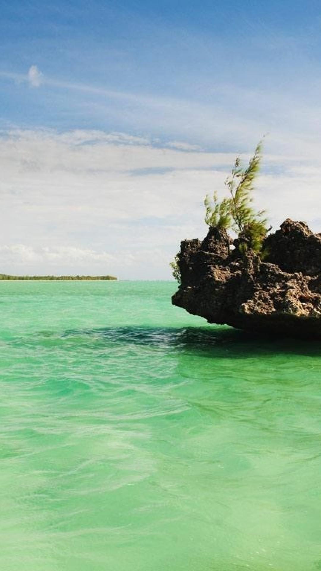 Bing Mobile Wallpaper