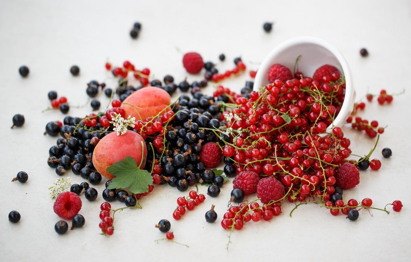 Wallpaper berries, raspberry, black, fruit, red, currants, nectarine