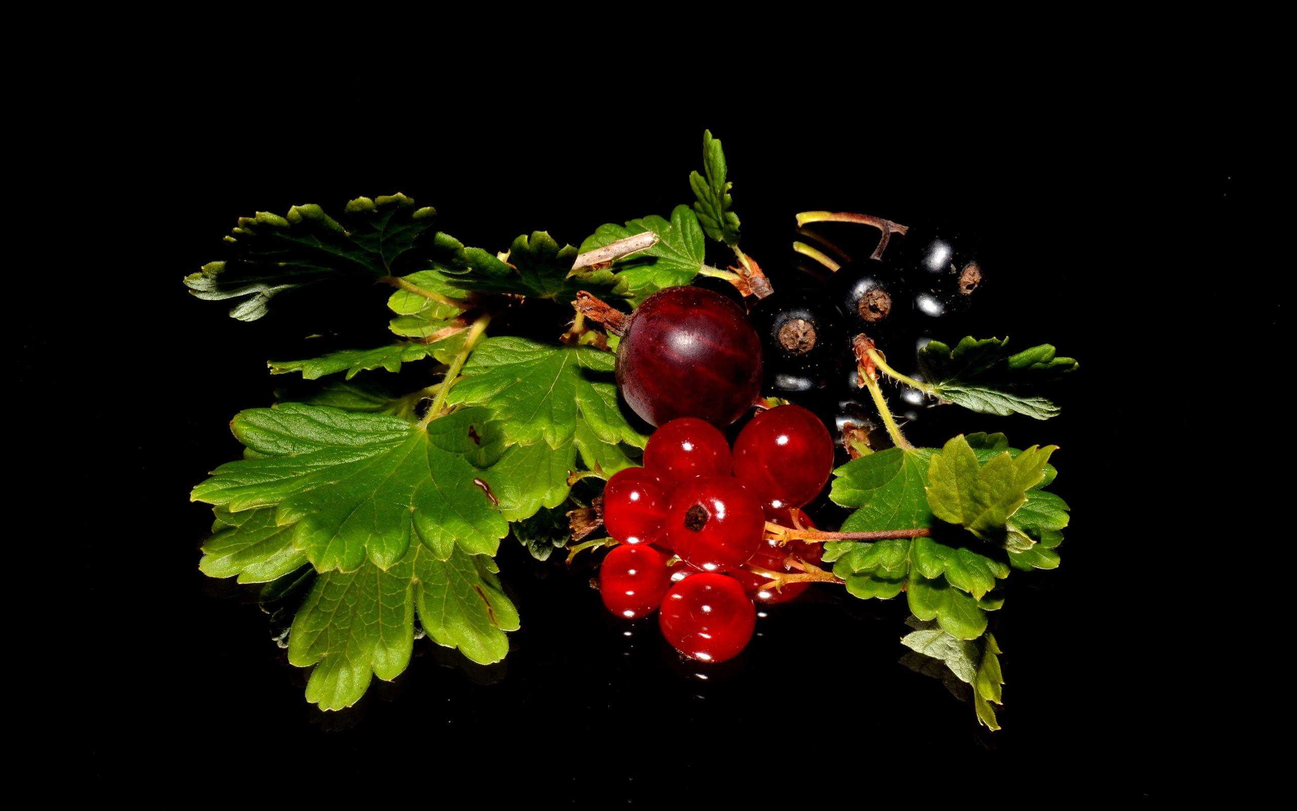 4K Currants Wallpaper High Quality