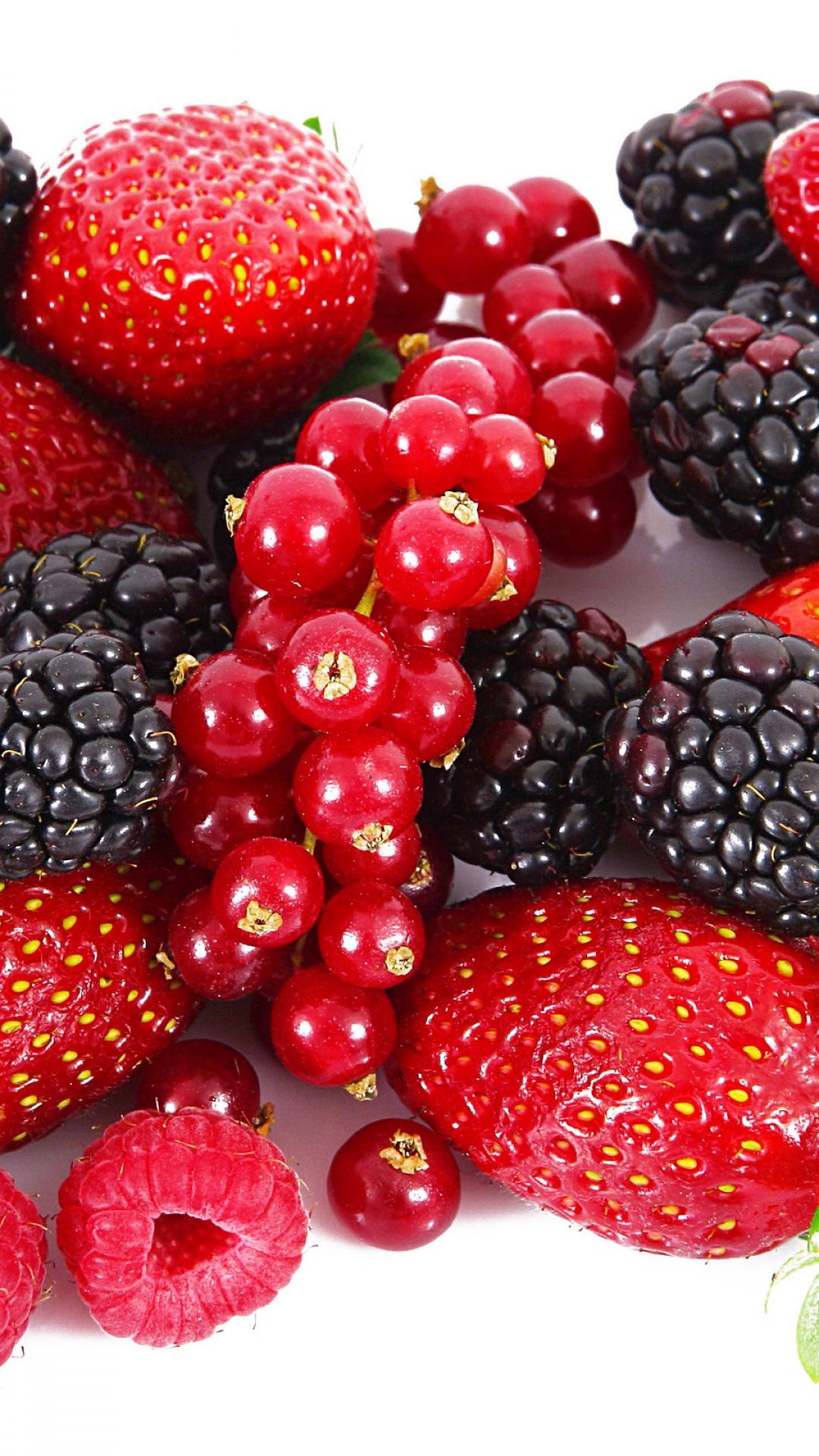 Currants Wallpaper 1080x1920, #Z99U179