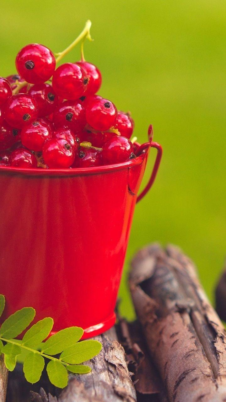 Currants Wallpaper (image in Collection)