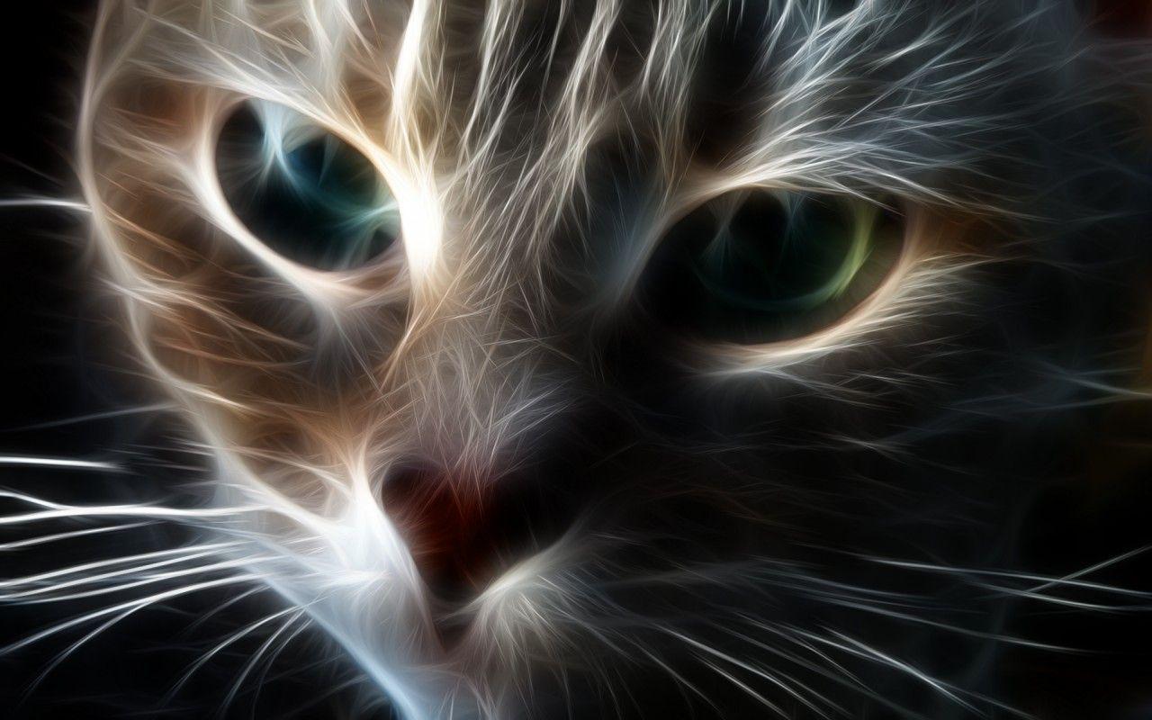Animated Cat. Animated Free Cat Wallpaper