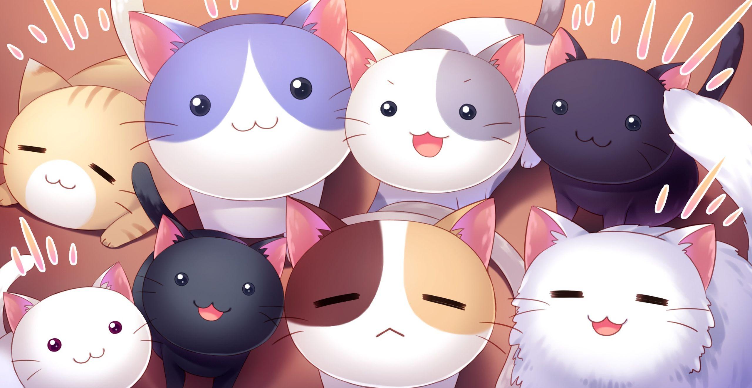 Anime Cat Wallpaper