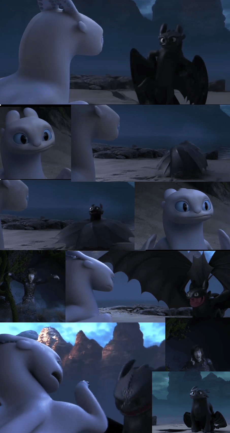 Toothless with a light fury! They are so cute! Picture from