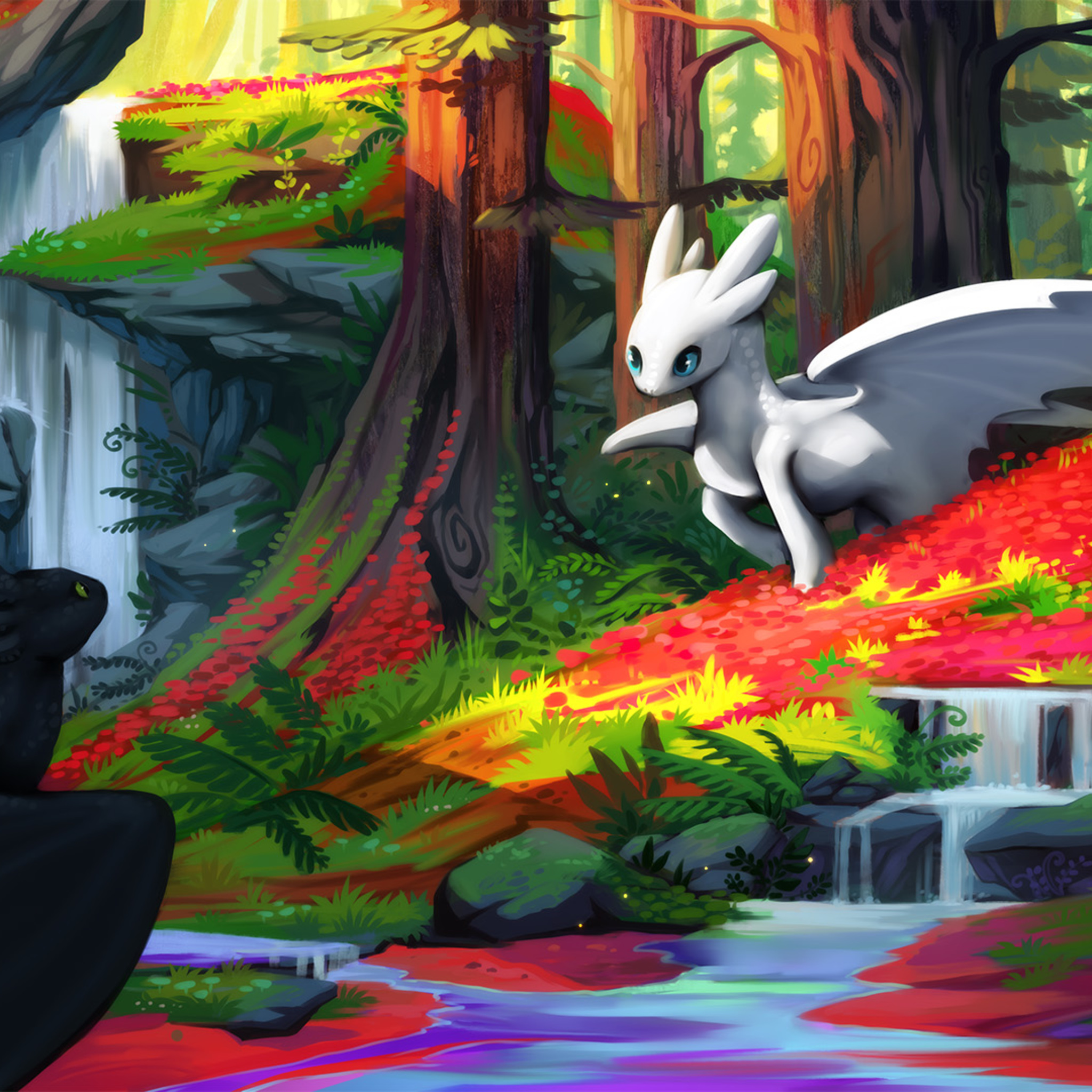 Night Fury And Light Fury iPad Air HD 4k Wallpaper