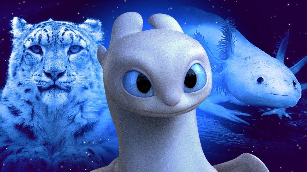 How to Train Your Dragon: The Animals That Inspired a New Dragon